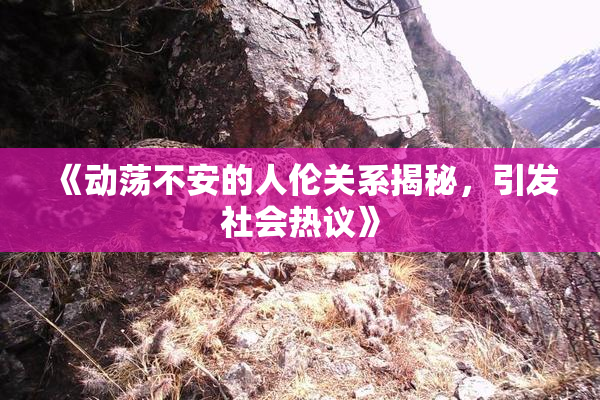 《动荡不安的人伦关系揭秘，引发社会热议》