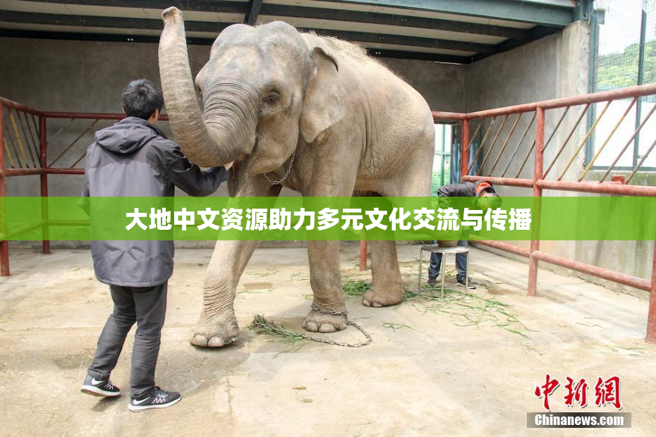 大地中文资源助力多元文化交流与传播