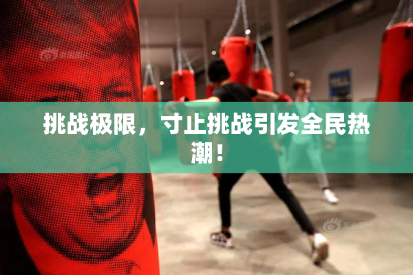 挑战极限，寸止挑战引发全民热潮！