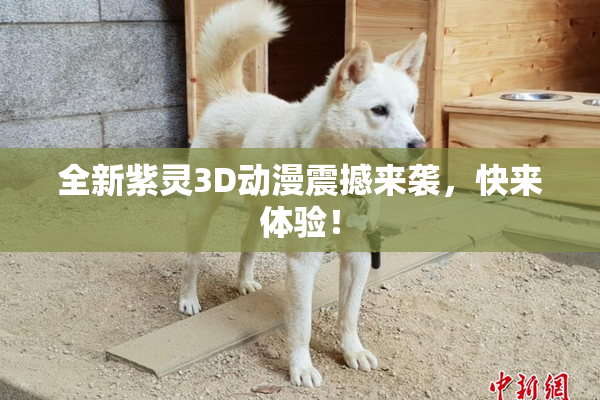 全新紫灵3D动漫震撼来袭，快来体验！