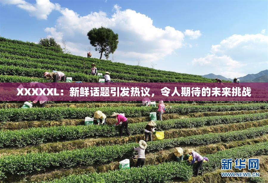 XXXXXL：新鲜话题引发热议，令人期待的未来挑战