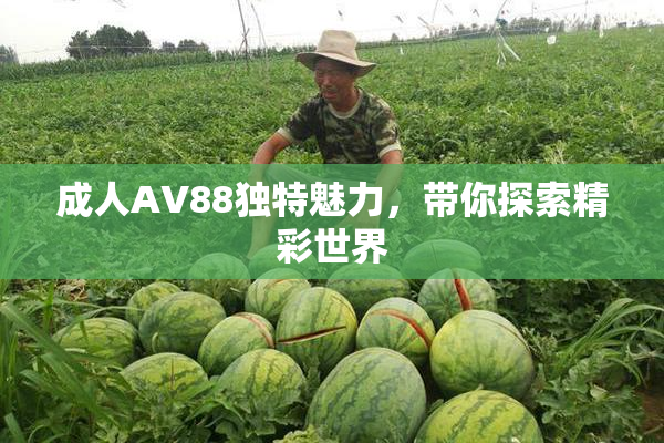 成人AV88独特魅力，带你探索精彩世界
