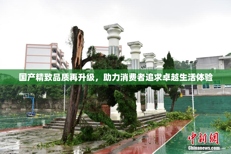 国产精致品质再升级，助力消费者追求卓越生活体验