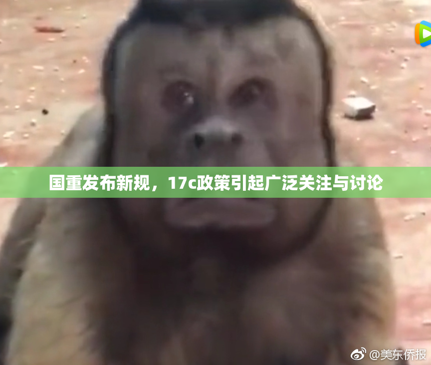 国重发布新规，17c政策引起广泛关注与讨论
