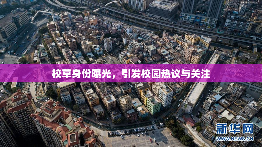 校草身份曝光，引发校园热议与关注