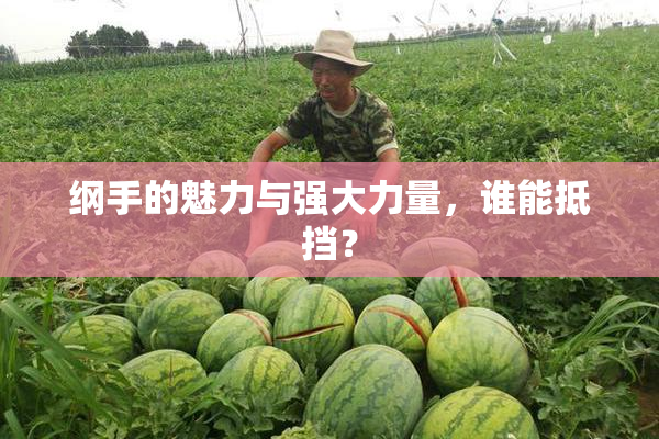 纲手的魅力与强大力量，谁能抵挡？