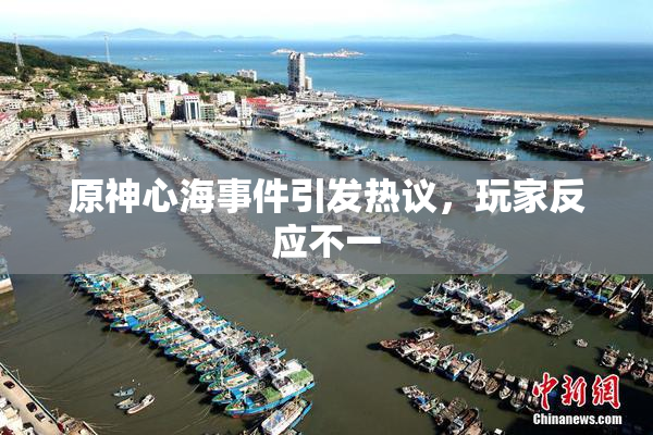 原神心海事件引发热议，玩家反应不一