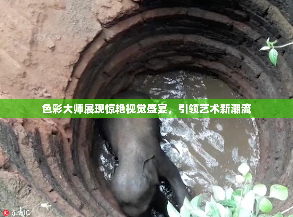 色彩大师展现惊艳视觉盛宴，引领艺术新潮流