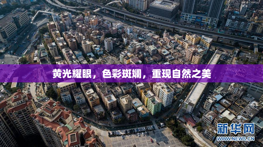 黄光耀眼，色彩斑斓，重现自然之美