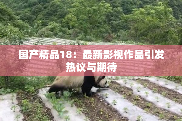 国产精品18：最新影视作品引发热议与期待