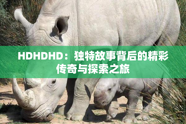 HDHDHD：独特故事背后的精彩传奇与探索之旅