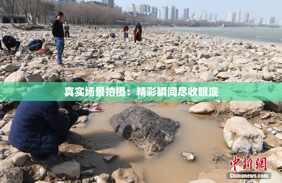 真实场景拍摄：精彩瞬间尽收眼底