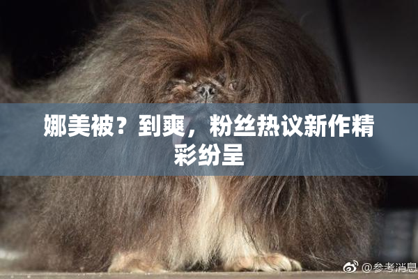 娜美被？到爽，粉丝热议新作精彩纷呈