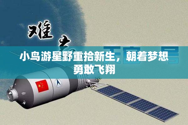 小鸟游星野重拾新生，朝着梦想勇敢飞翔
