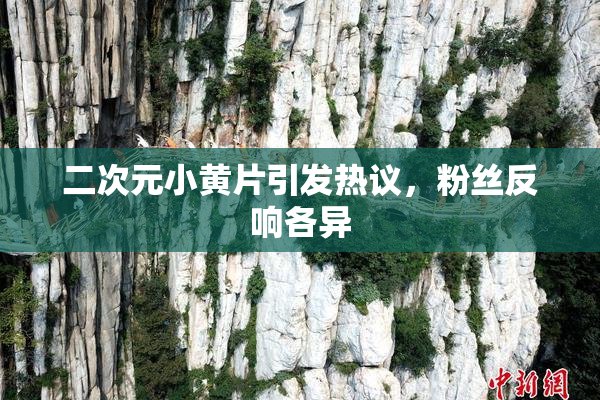 二次元小黄片引发热议，粉丝反响各异