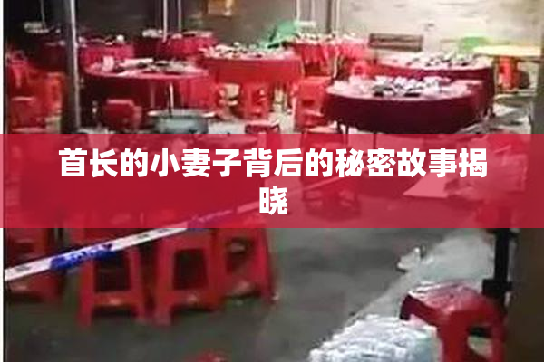 首长的小妻子背后的秘密故事揭晓