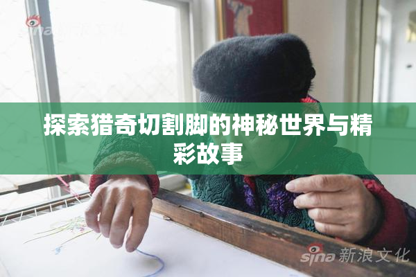 探索猎奇切割脚的神秘世界与精彩故事