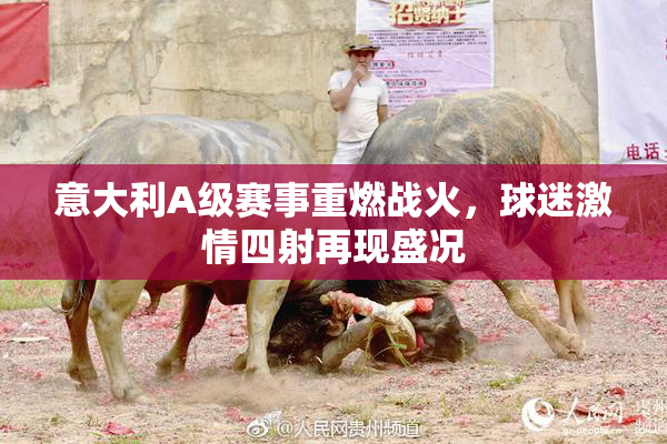意大利A级赛事重燃战火，球迷激情四射再现盛况