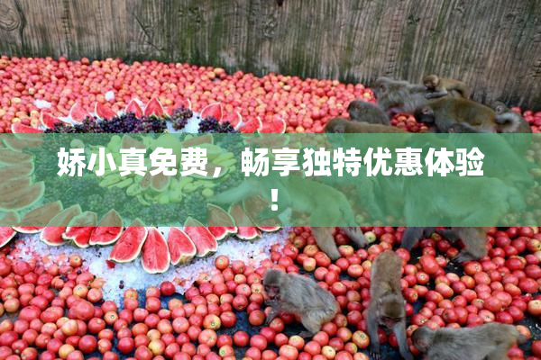娇小真免费，畅享独特优惠体验！