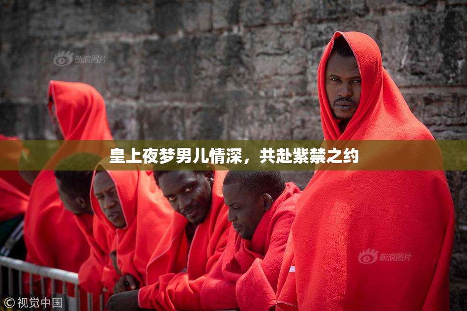 皇上夜梦男儿情深，共赴紫禁之约