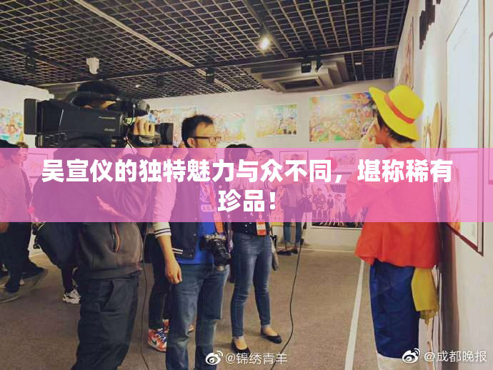 吴宣仪的独特魅力与众不同，堪称稀有珍品！