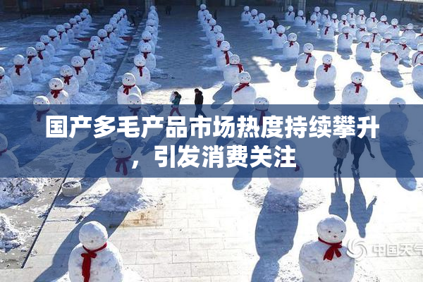 国产多毛产品市场热度持续攀升，引发消费关注