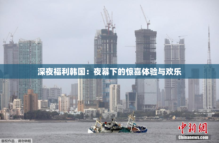 深夜福利韩国：夜幕下的惊喜体验与欢乐