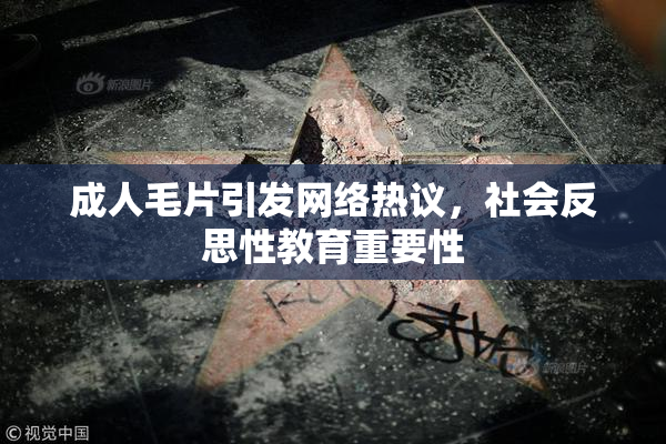 成人毛片引发网络热议，社会反思性教育重要性