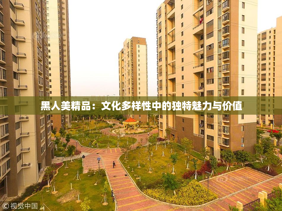 黑人美精品：文化多样性中的独特魅力与价值
