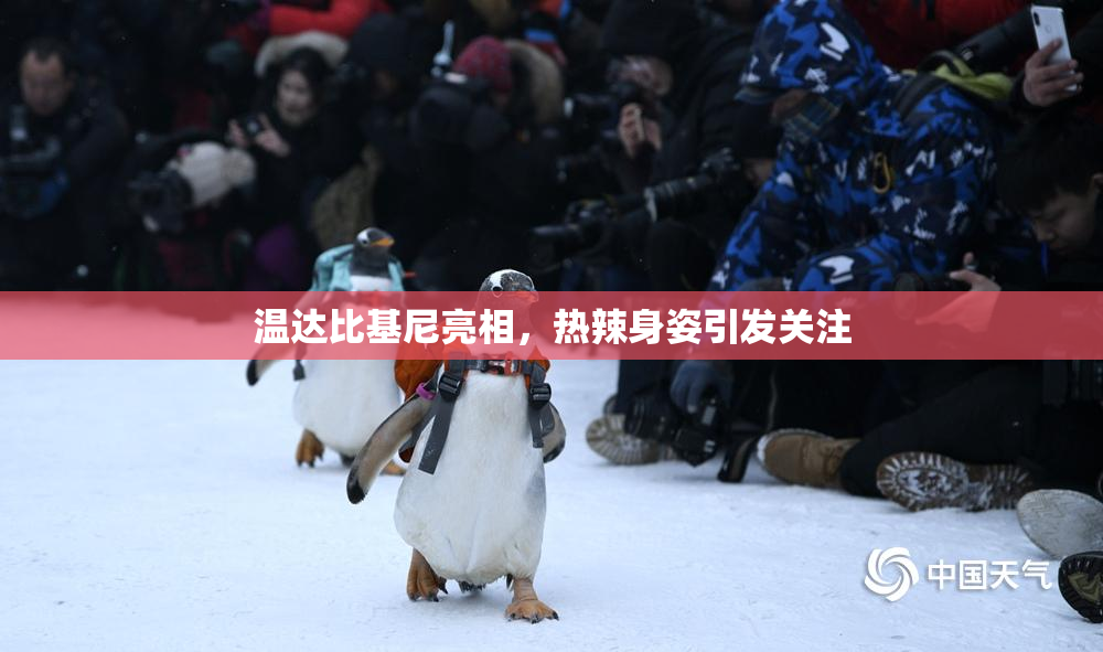 温达比基尼亮相，热辣身姿引发关注
