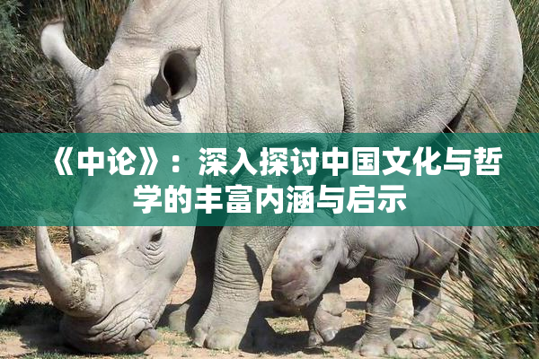 《中论》：深入探讨中国文化与哲学的丰富内涵与启示