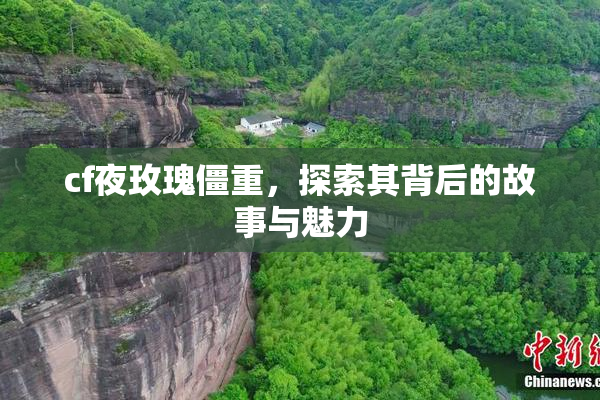 cf夜玫瑰僵重，探索其背后的故事与魅力
