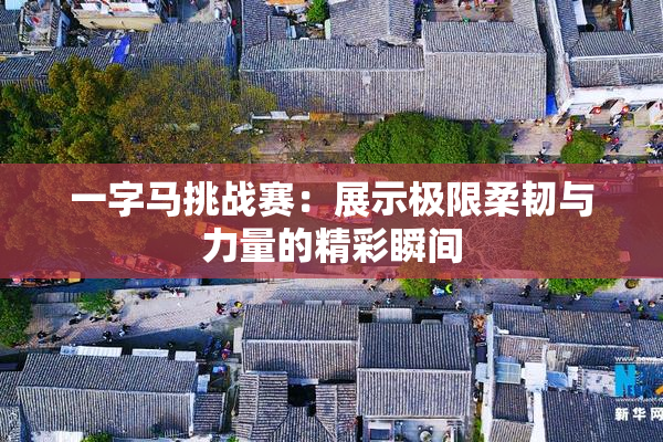 一字马挑战赛：展示极限柔韧与力量的精彩瞬间