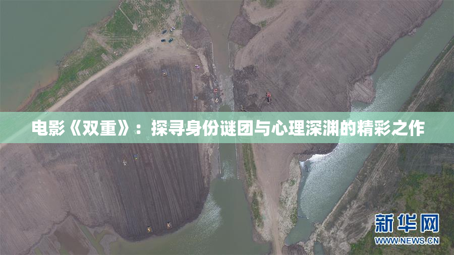 电影《双重》：探寻身份谜团与心理深渊的精彩之作