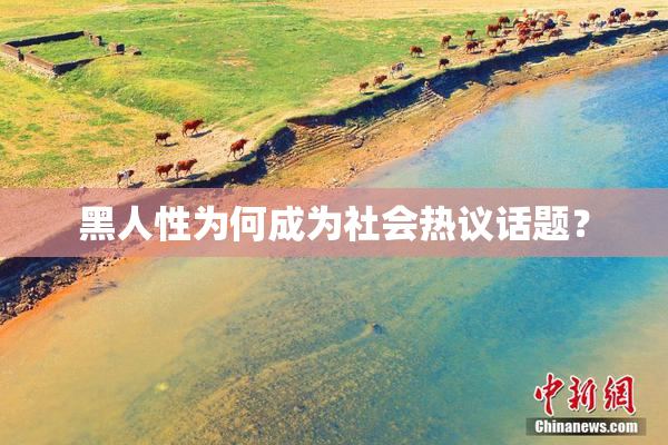 黑人性为何成为社会热议话题？