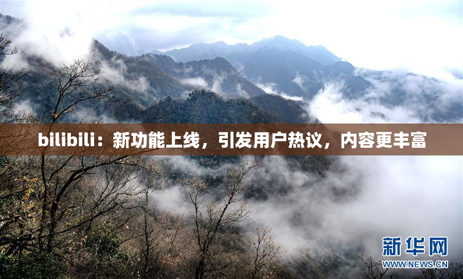 bilibili：新功能上线，引发用户热议，内容更丰富