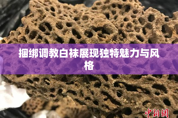 捆绑调教白袜展现独特魅力与风格