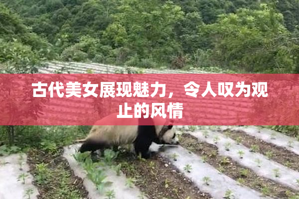 古代美女展现魅力，令人叹为观止的风情
