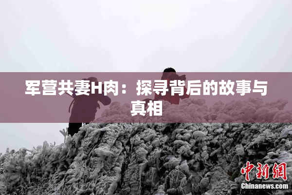 军营共妻H肉：探寻背后的故事与真相