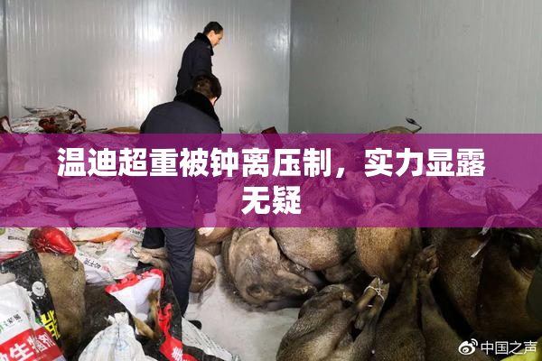温迪超重被钟离压制，实力显露无疑
