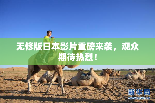 无修版日本影片重磅来袭，观众期待热烈！