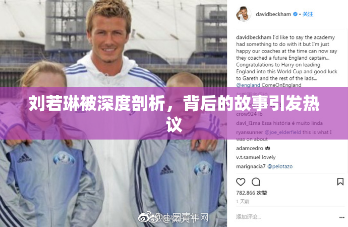 刘若琳被深度剖析，背后的故事引发热议