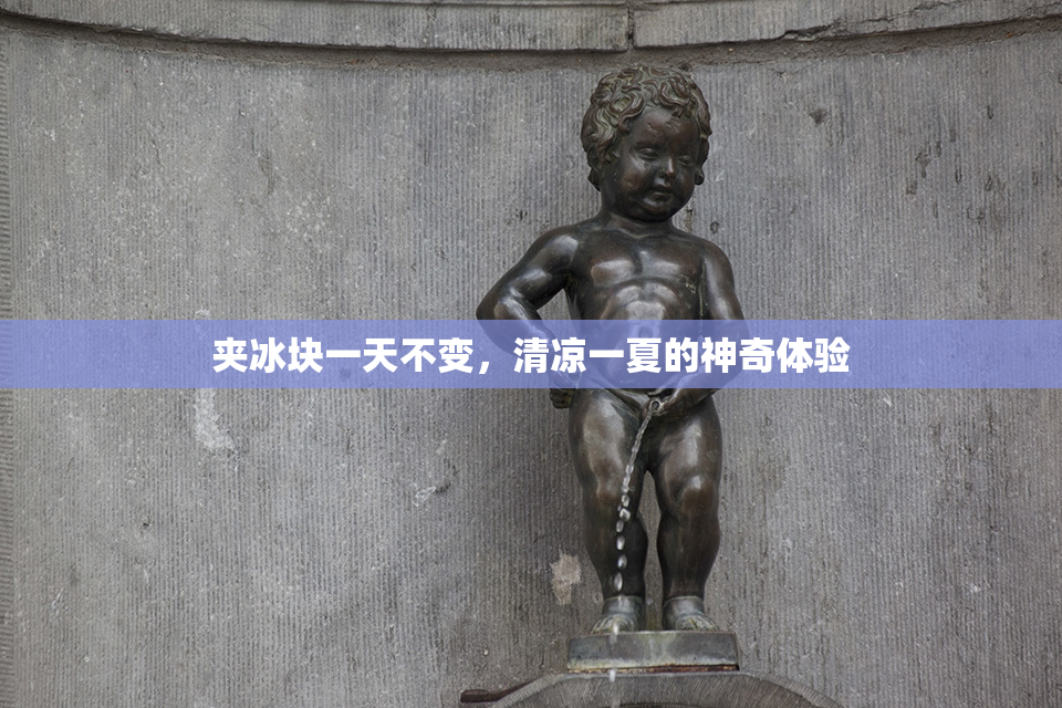 夹冰块一天不变，清凉一夏的神奇体验