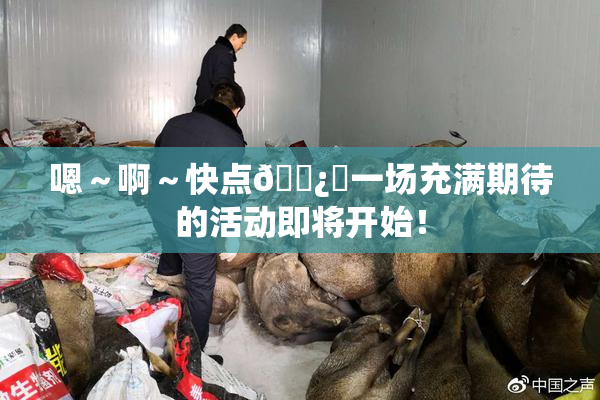 嗯～啊～快点🌿‌一场充满期待的活动即将开始！