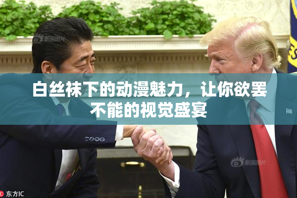 白丝袜下的动漫魅力，让你欲罢不能的视觉盛宴