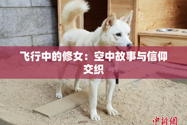 飞行中的修女：空中故事与信仰交织