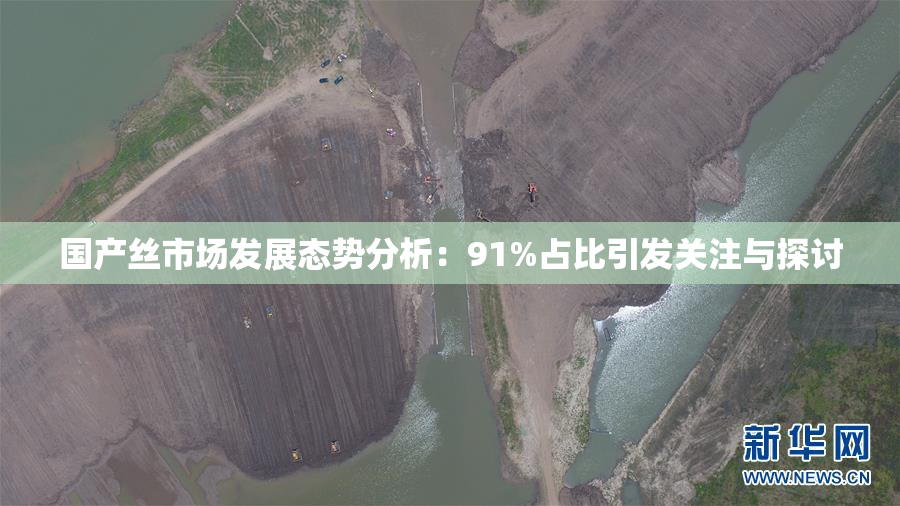 国产丝市场发展态势分析：91%占比引发关注与探讨