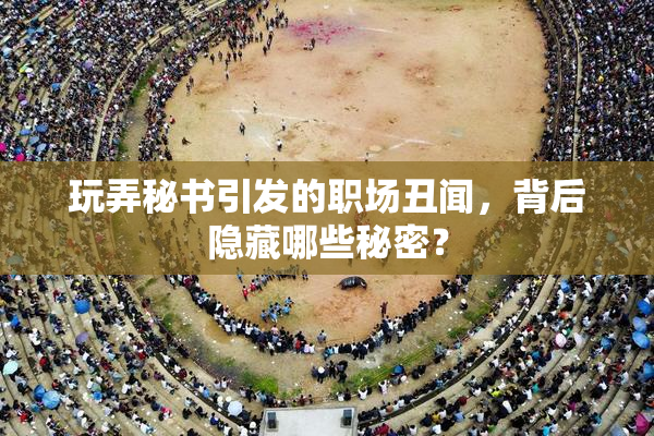 玩弄秘书引发的职场丑闻，背后隐藏哪些秘密？