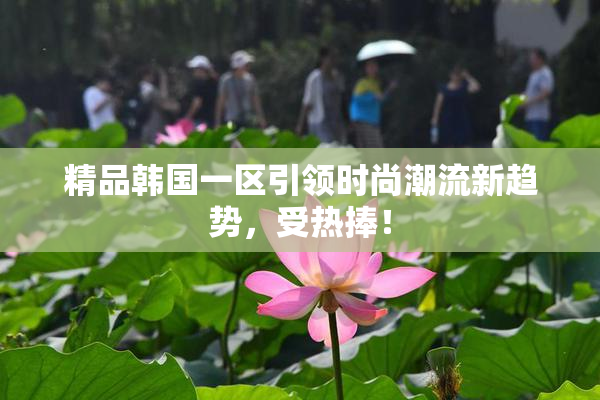 精品韩国一区引领时尚潮流新趋势，受热捧！