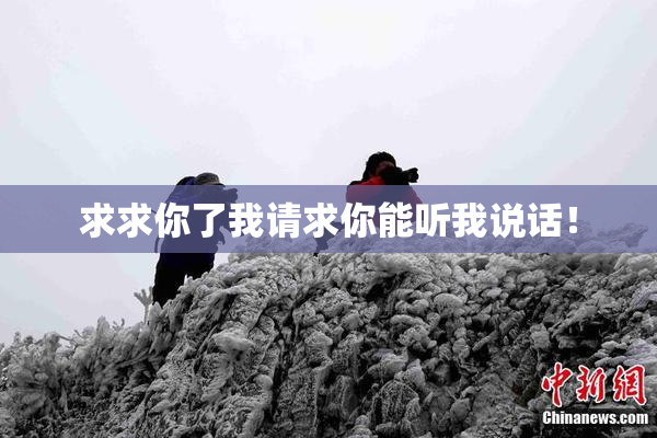 求求你了我请求你能听我说话！
